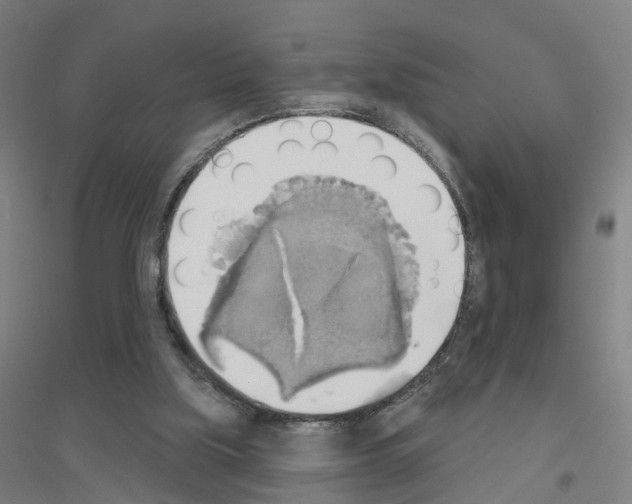 X0000116830059201001291652