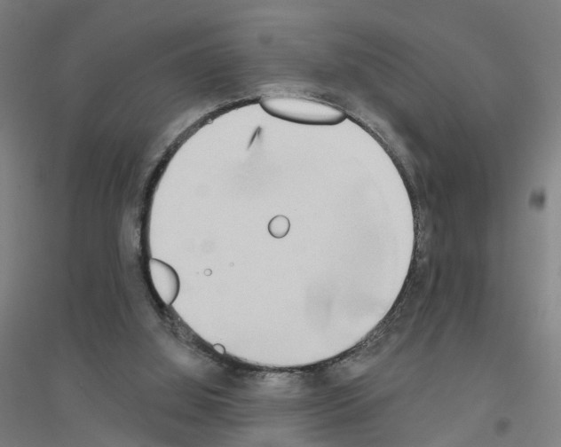 X0000116830060201001291652