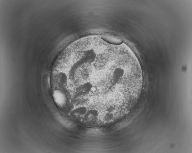 X0000116830061201001291652