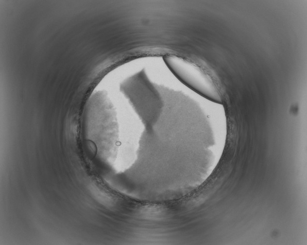 X0000116830063201001291652