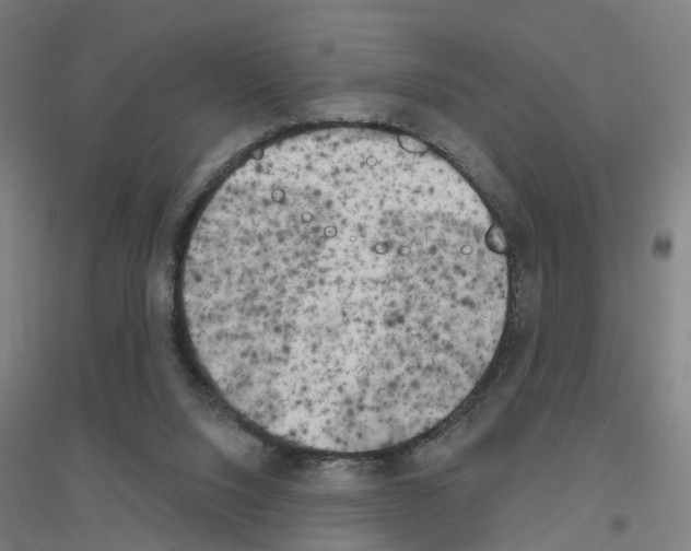 X0000116830064201001291652