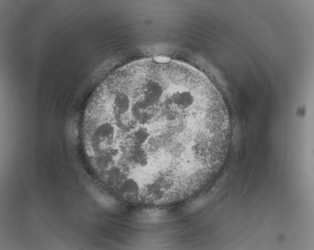 X0000116830065201001291652