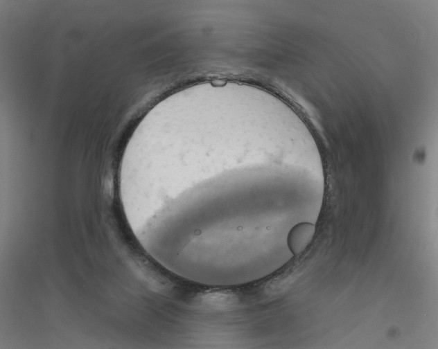 X0000116830067201001291652