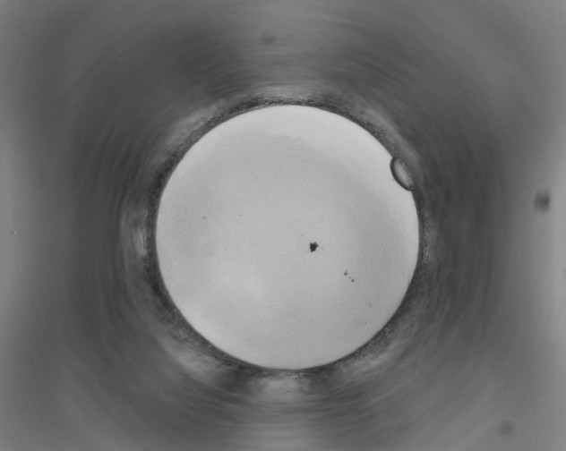 X0000116830068201001291652