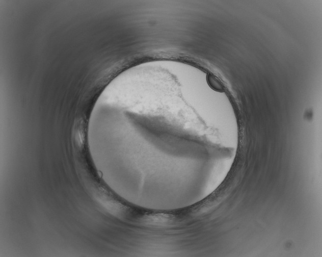 X0000116830069201001291652