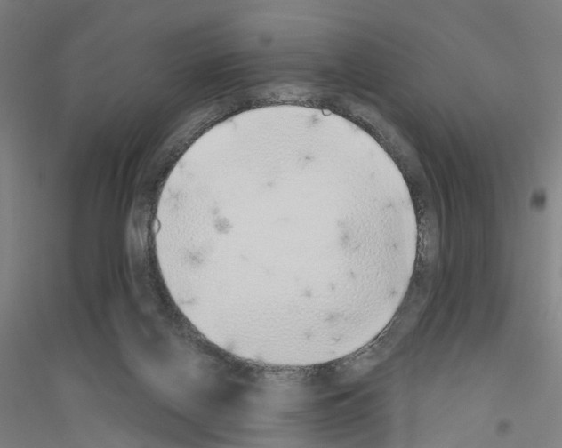 X0000116830070201001291652