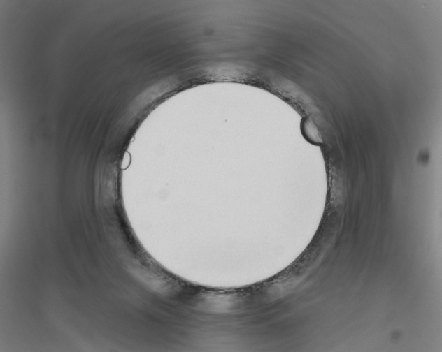 X0000116830071201001291652