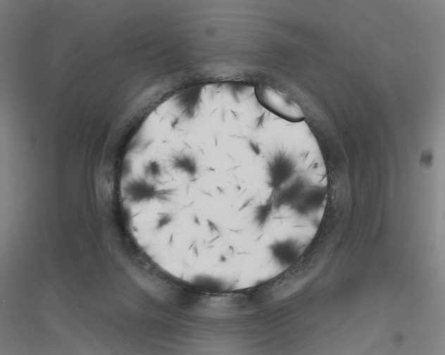 X0000116830072201001291652