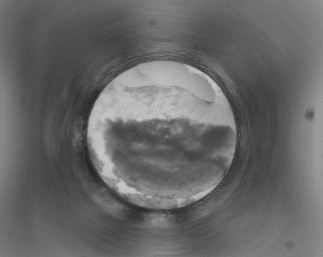 X0000116830073201001291652