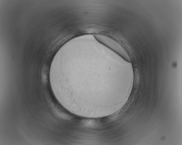 X0000116830074201001291652