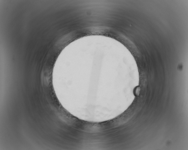 X0000116830075201001291652