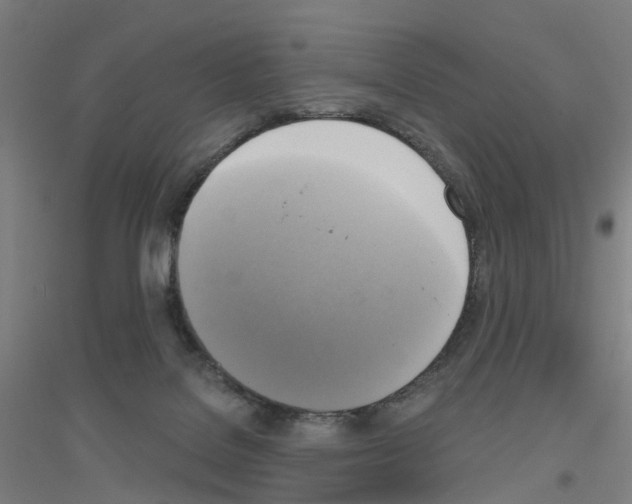 X0000116830076201001291652