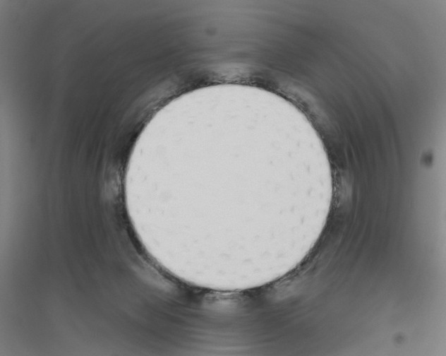 X0000116830077201001291652