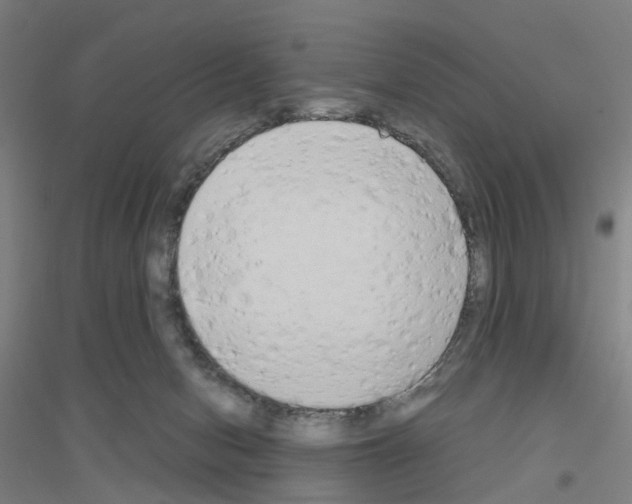 X0000116830078201001291652