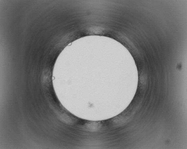 X0000116830079201001291652