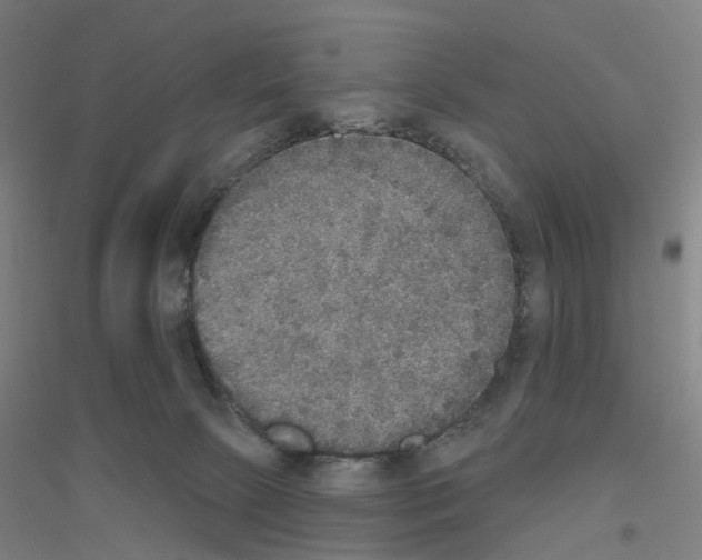 X0000116830081201001291652