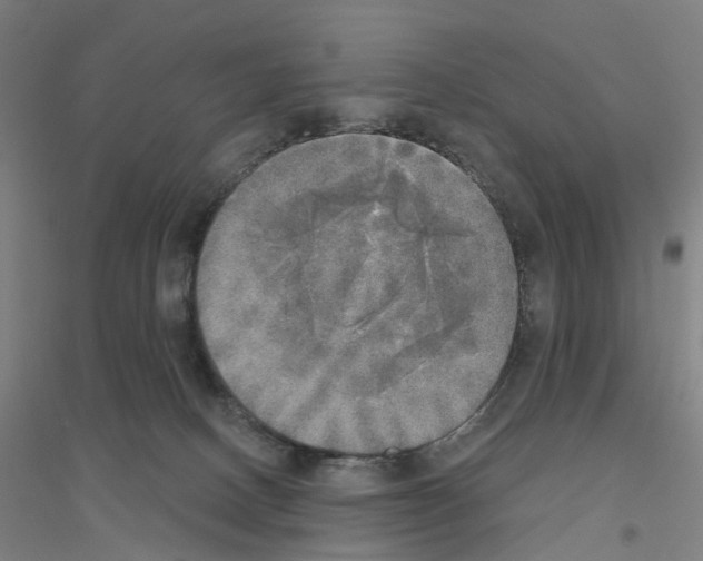 X0000116830082201001291652