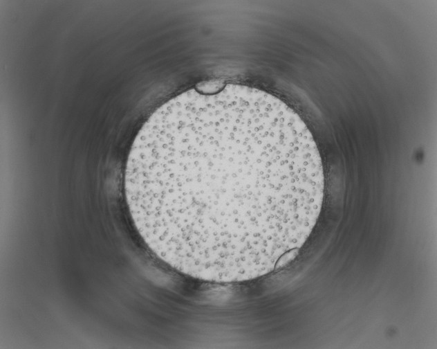 X0000116830083201001291652