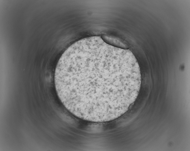 X0000116830084201001291652