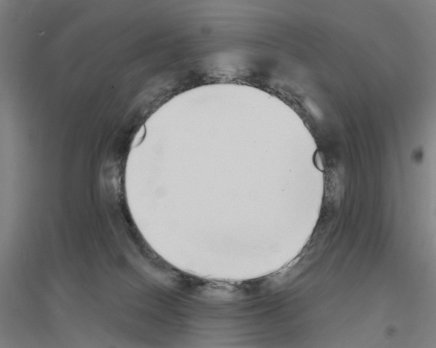 X0000116830086201001291652