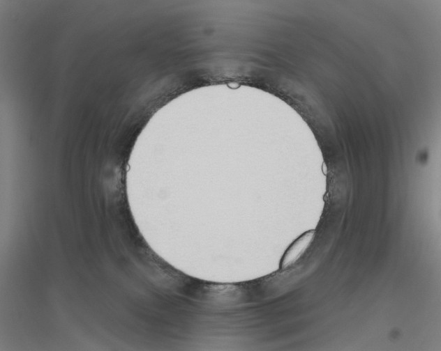 X0000116830087201001291652