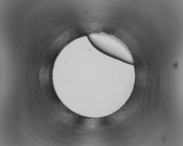 X0000116830088201001291652