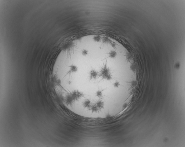 X0000116830090201001291652