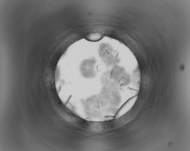 X0000116830091201001291652