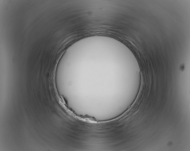 X0000116830092201001291652