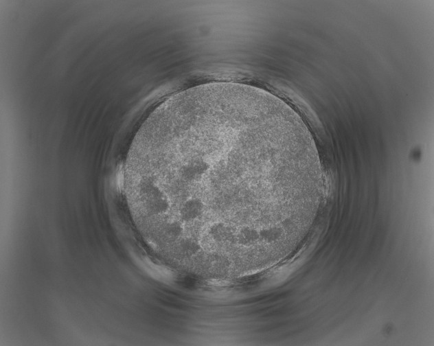 X0000116830095201001291652