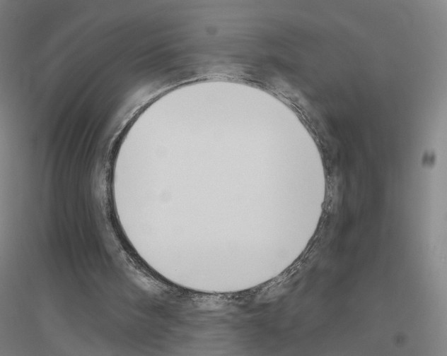 X0000116830098201001291651