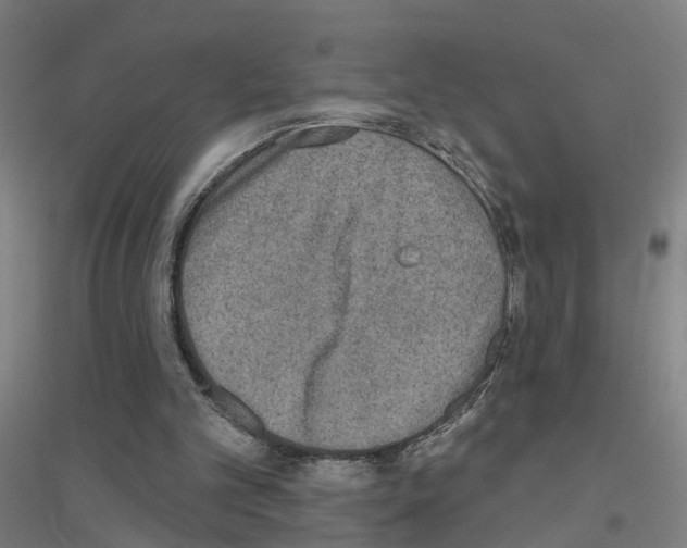 X0000116830101201001291651