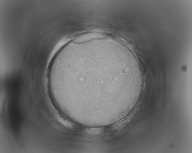 X0000116830102201001291651