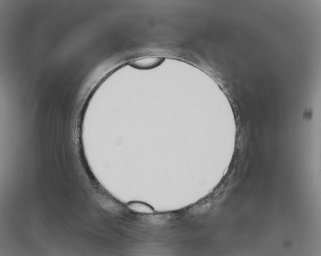 X0000116830103201001291651