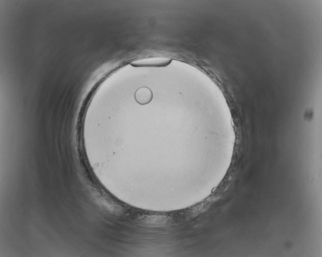 X0000116830104201001291651