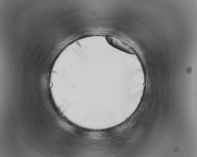 X0000116830105201001291651