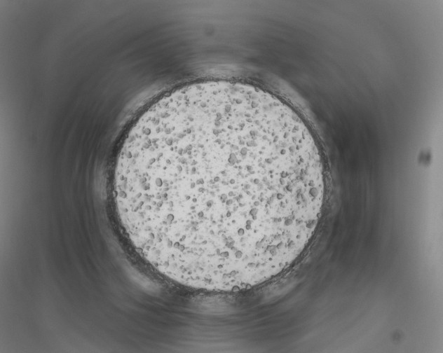 X0000116830106201001291651