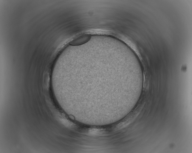 X0000116830109201001291651