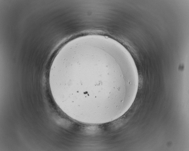 X0000116830112201001291651