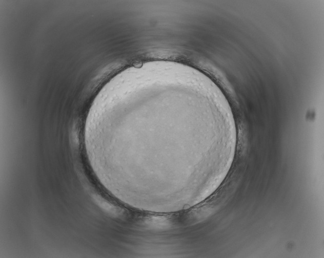 X0000116830114201001291651