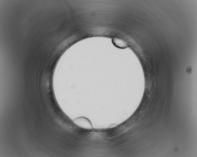 X0000116830115201001291651