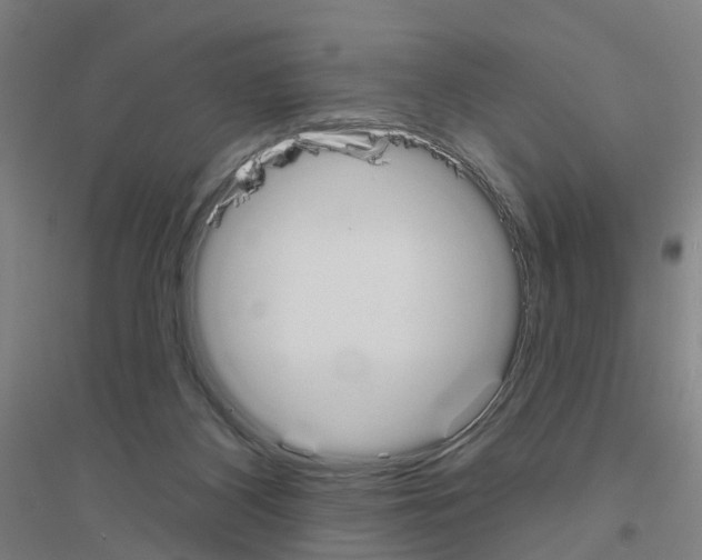 X0000116830116201001291651