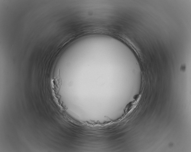 X0000116830117201001291651