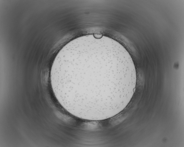 X0000116830118201001291651