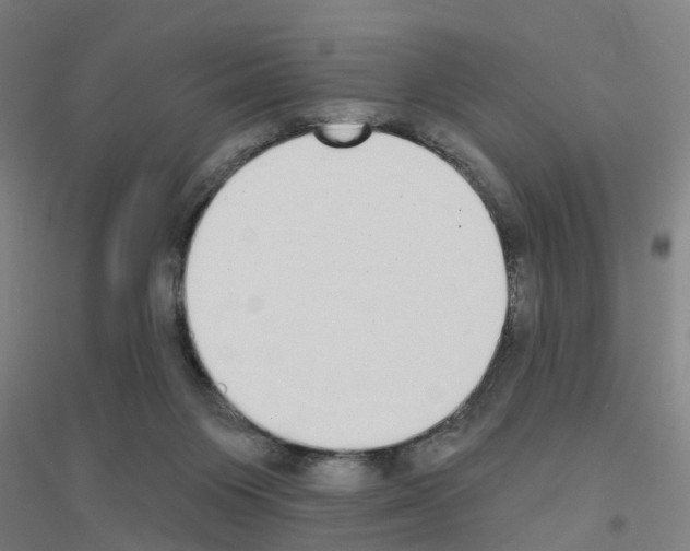 X0000116830119201001291651