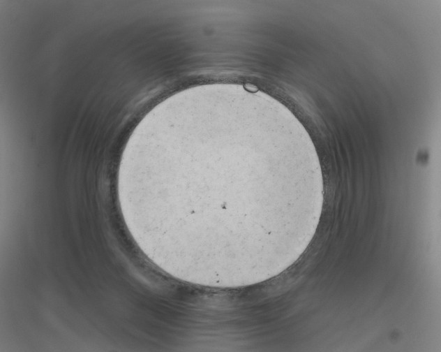 X0000116830120201001291651