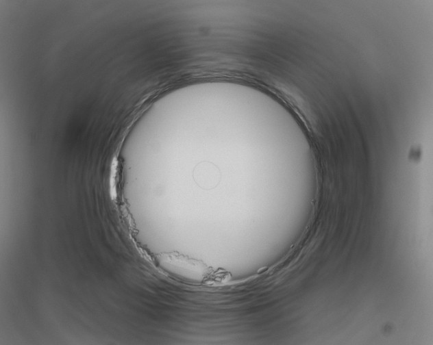 X0000116830121201001291651