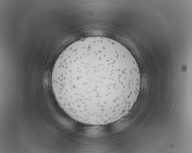 X0000116830122201001291651