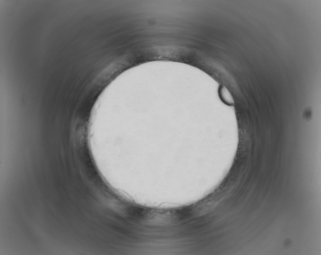 X0000116830123201001291651