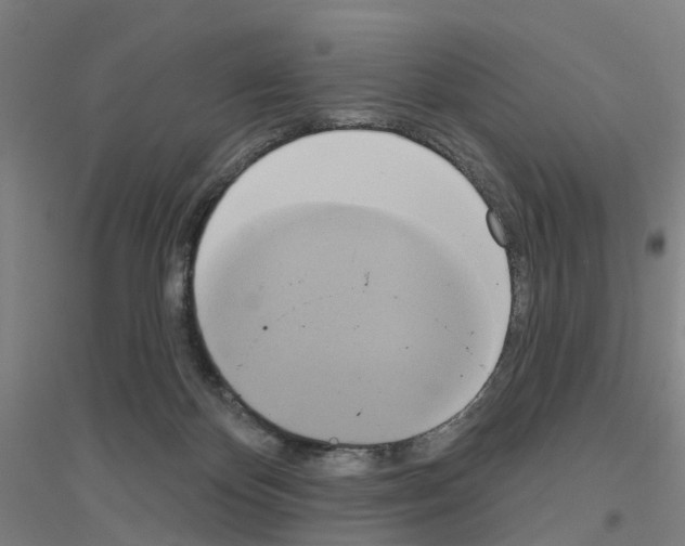 X0000116830124201001291651